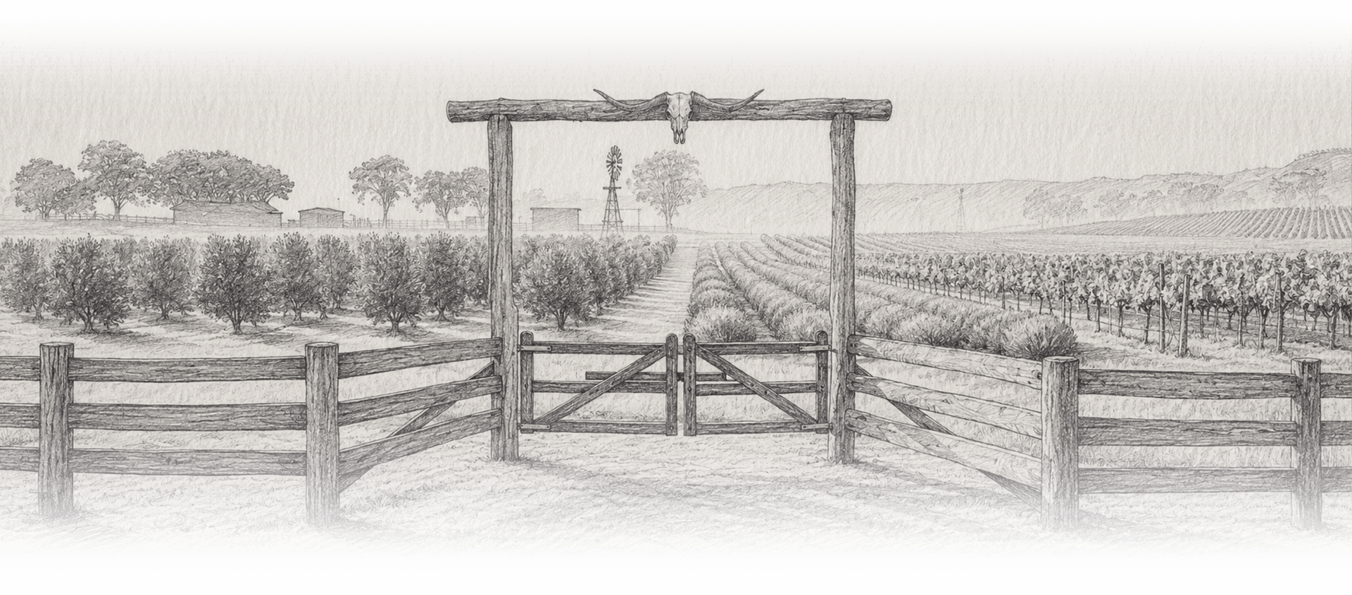 Cerrito de Dolores — el legado del campo mexicano
